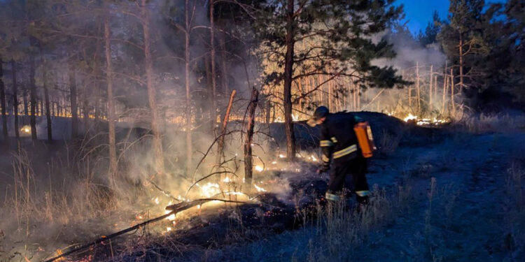 Donetsk bölgesinde Rus saldırısı sonrası orman yangını