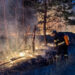 Donetsk bölgesinde Rus saldırısı sonrası orman yangını