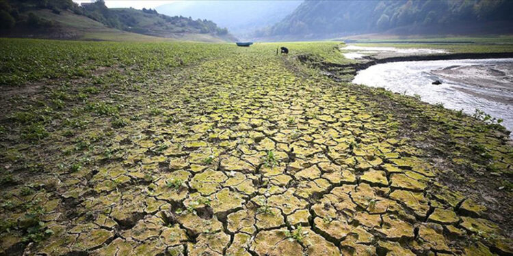Dünya kentlerinin yüzde 83'ü iklim krizi tehdidi altında