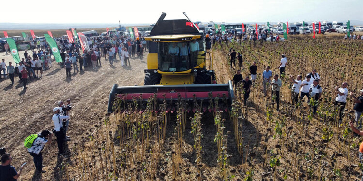 Ayçiçeğinde yaşanacak verim kaybının telafisi için kuraklık desteği önemli