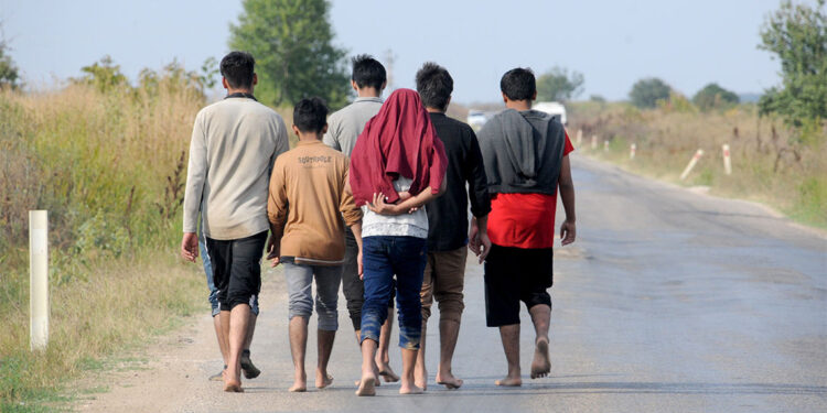 Edirne'de 8 ayda 12 bin 791 kaçak göçmen yakalandı