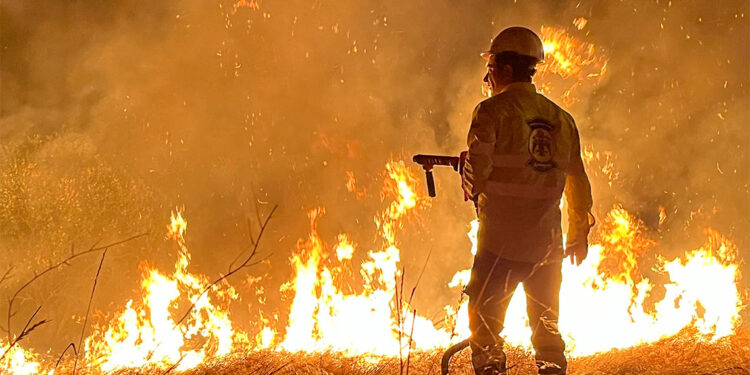 Erzincan'da çıkan örtü yangını söndürüldü