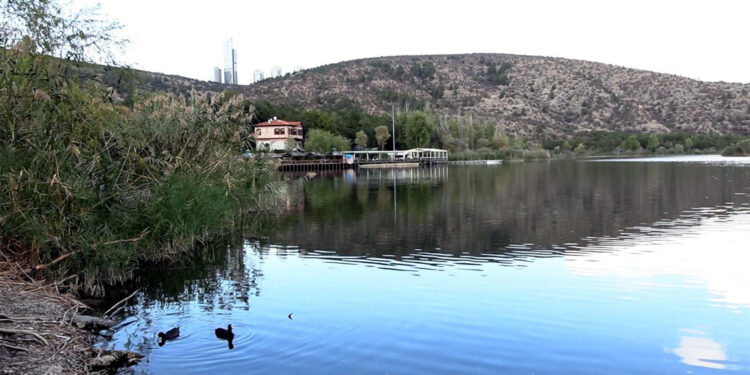 Ankara'daki Eymir Gölü'nde balık ölümlerine inceleme