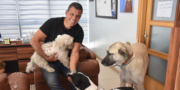 Fabrikasını can dostlarına açtı; 36 köpek ve 7 kediye bakıyor