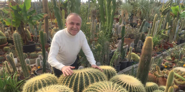 Evinin çatısında 600 kaktüsle bahçe kurdu