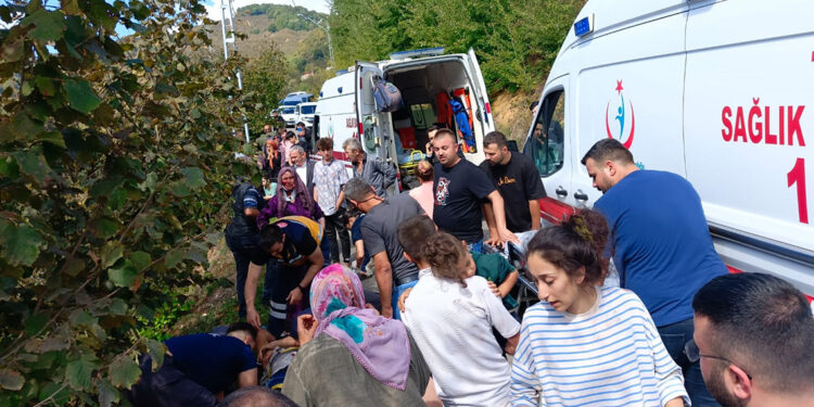 Fındık işçilerini taşıyan minibüs uçuruma devrildi: 5'i çocuk 15 yaralı