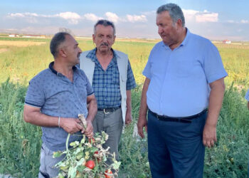 Çiftçinin borçları ertelenmezse tarlalar elden gidecek