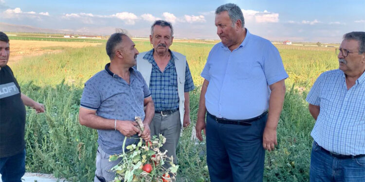 Çiftçinin borçları ertelenmezse tarlalar elden gidecek