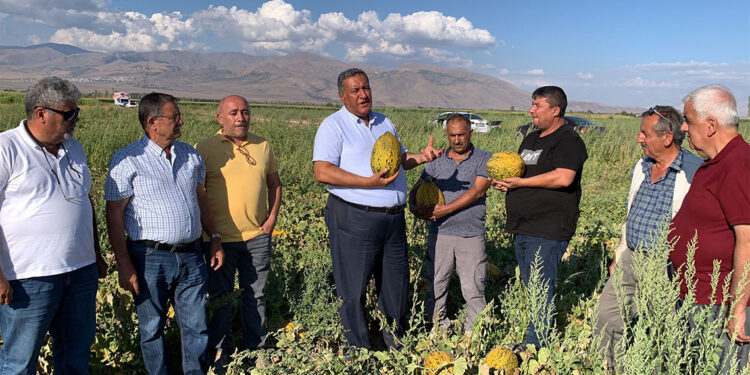 Çiftçi, besici gülmeyi unuttu; Dertsiz çiftçi yok