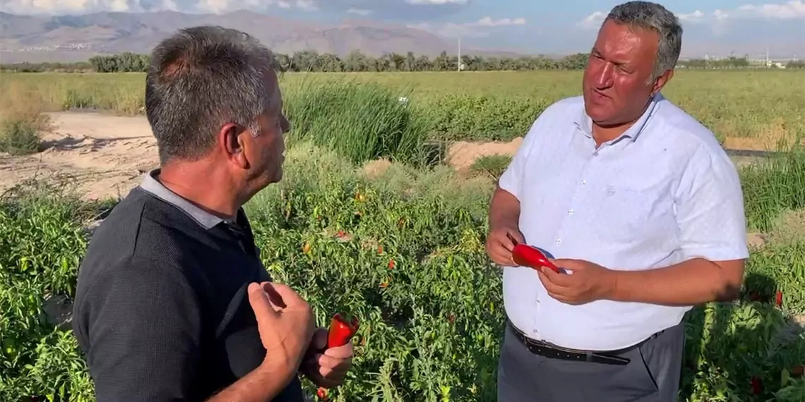 Chp niğde milletvekili ömer fethi gürer, “tarımda hiç böyle bir dönem yaşanmadı. Kırmızı biber dahi tarlada tüccar bekliyor. Üretici kan ağlıyor, iktidar seyrediyor” dedi.