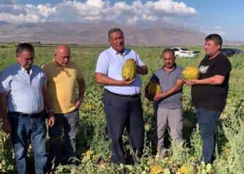 Çiftçinin tarlası ürün doldu taştı, cebi boş kaldı