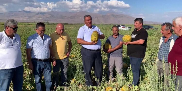 Çiftçinin tarlası ürün doldu taştı, cebi boş kaldı