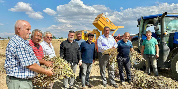 Tarlada, ithalatta, markette kuru fasulye fiyatları arasında uçurum var