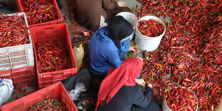 8 bin tarım işçisi kırmızıbiberi pul biber haline getiriyor