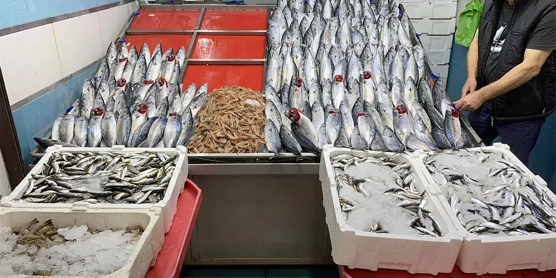 Deniz ürünleri avcıları üreticileri merkez birliği (dem-bi̇r) çanakkale-tekirdağ bölge birliği başkanı naci karabiber, denizdeki palamudun bolluğuna dikkat çekip, "buna bağlı olarak hamsi az. Çünkü hamsi palamudun yemidir. Hamsi daha da az olacak. Zamanla kendini toparlayacak ama birkaç ay boyunca hamsi tezgahlarımızda az görünecek" dedi.