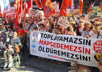 Sokak hayvanları düzenlemesine tepkiler devam ediyor