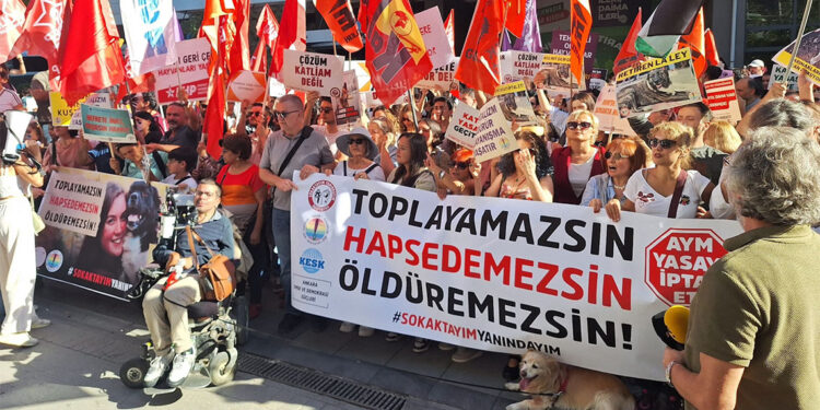 Sokak hayvanları düzenlemesine tepkiler devam ediyor