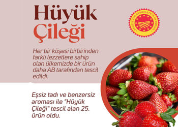 Hüyük çileği coğrafi işaret tescili aldı