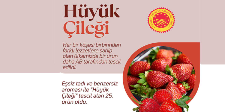 Hüyük çileği coğrafi işaret tescili aldı
