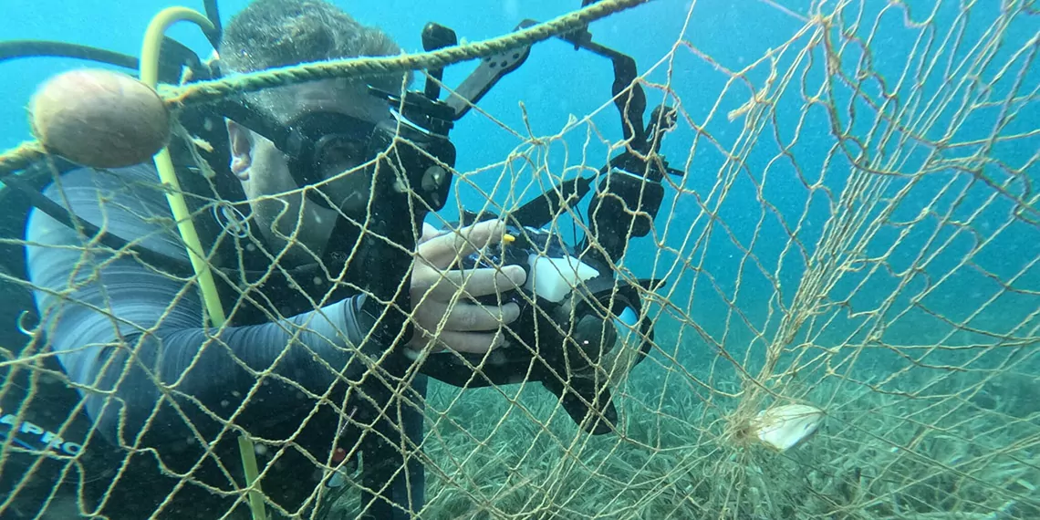 Hayalet ağların deniz ekosistemine verdiği zarar görüntülendi