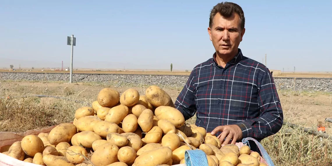 Niğde'de kışlık patatesler, iklim değişikliği nedeniyle olması gerekenden 25 gün erken hasat edilmeye başlandı.