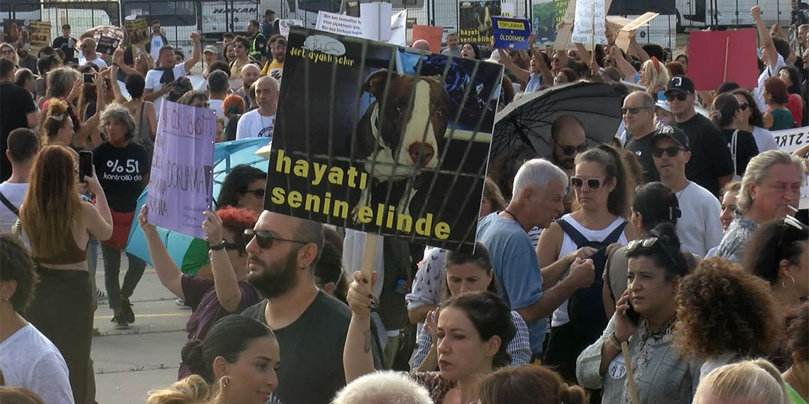 Hayvanseverler Yenikapı Miting alanında buluştu; Mitinge Sertap Erener, Ajda Pekkan, Hande Yener, Mustafa Ceceli ve Seren Serengil gibi çok sayıda ünlü isim katıldı.