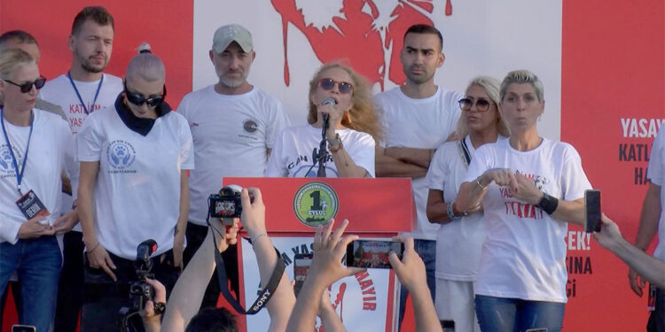 Hayvanseverler Yenikapı Miting alanında buluştu