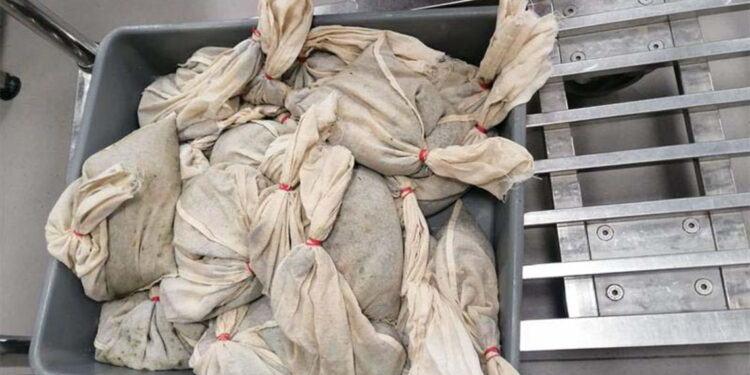 Rus yolcunun valizlerinden 20 bin adet canlı sülük çıktı