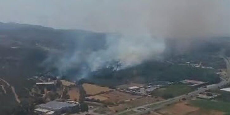 Menemen'de ormanda yangın