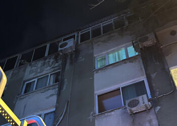 İzmir'de çatı katında çıkan yangında yaklaşık 100 güvercin öldü