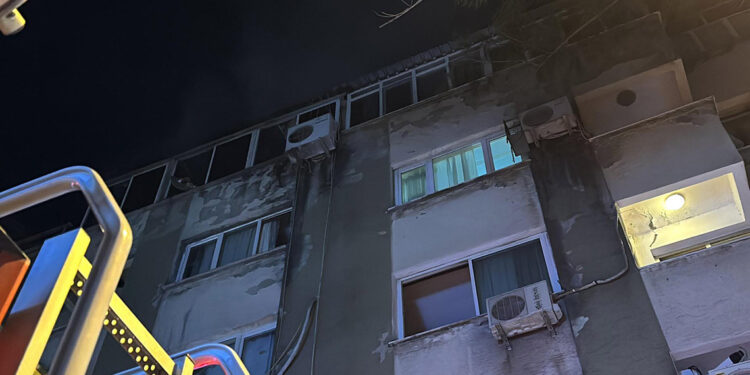 İzmir'de çatı katında çıkan yangında yaklaşık 100 güvercin öldü