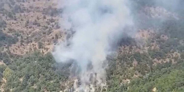 İzmir'in Kemalpaşa ilçesinde orman yangını çıktı