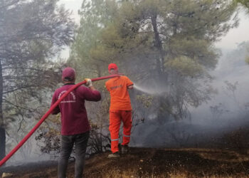 Kahramanmaraş'taki yangında 15 hektar orman zarar gördü