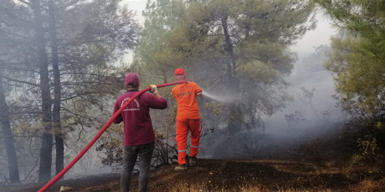 Kahramanmaraş'taki yangında 15 hektar orman zarar gördü