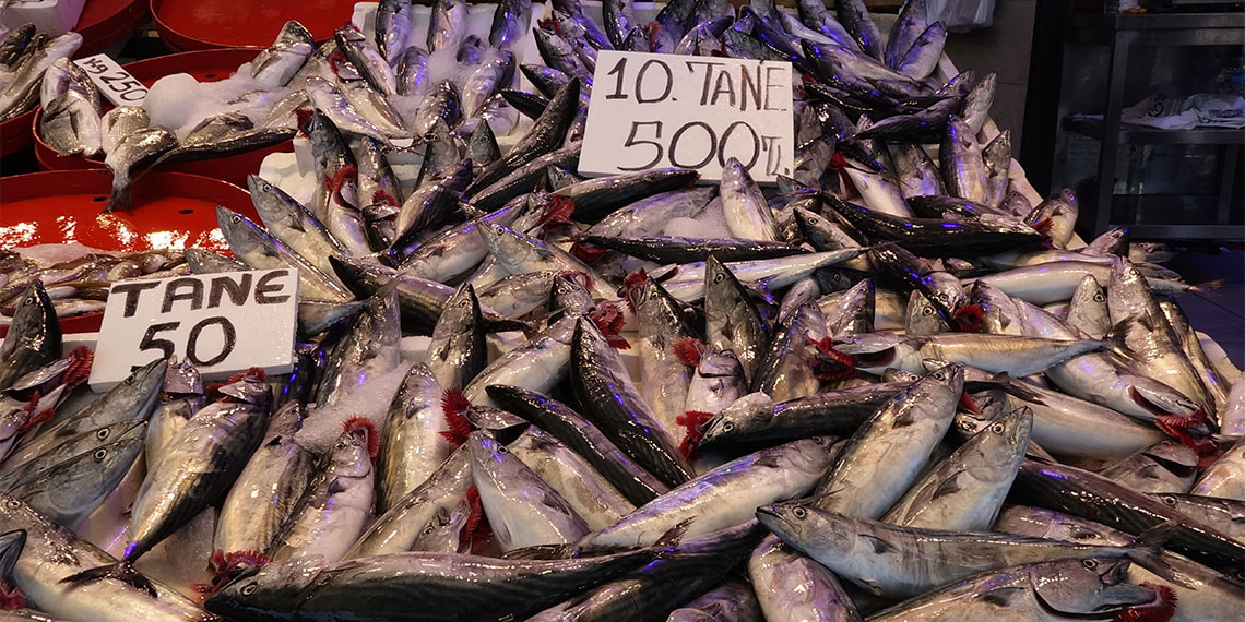 Karadeniz'de av sezonu bereketli başladı; tezgahlar şenlendi. 'Vira bismillah' diyerek denize açılan balıkçıların ağları, palamutla doldu.