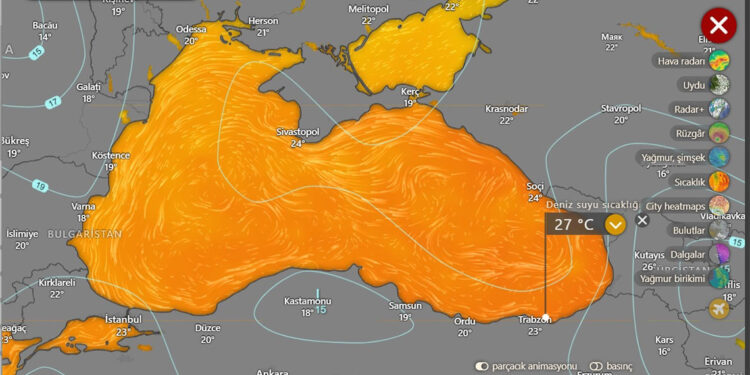 Deniz suyundaki sıcaklık artışı, canlıları tehdit ediyor