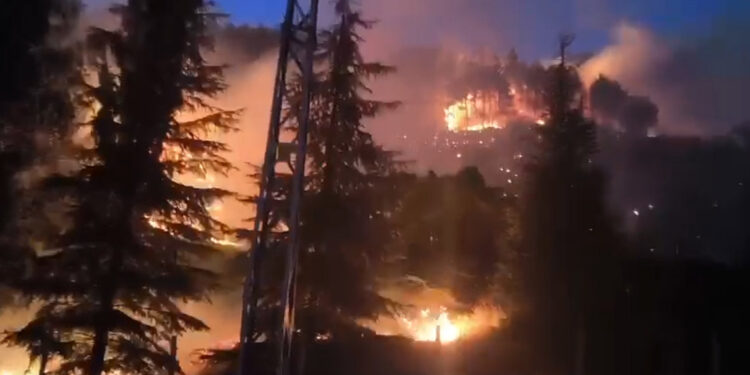 Kahramanmaraş'ta ormanda yangın