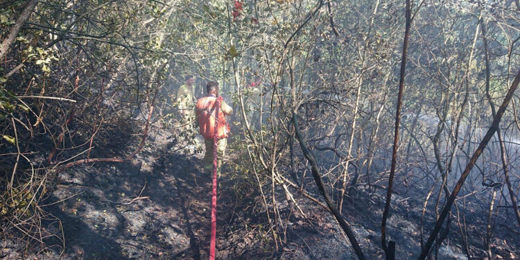 Karabük'te çıkan orman yangını kısa sürede söndürüldü 