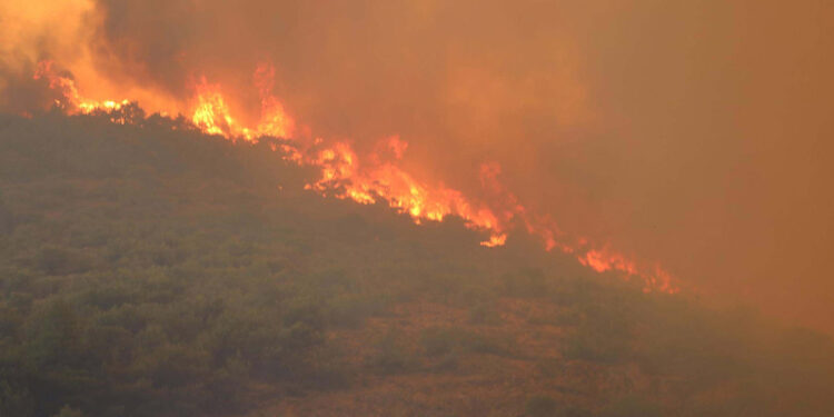 Karşıyaka yangınını defineciler çıkarmış