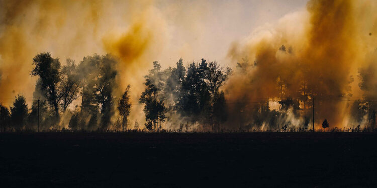 Kiev bölgesinde çalı yangını: Ekipler bir köyü harap olmaktan kurtardı