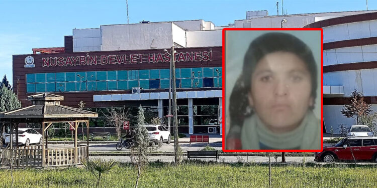 Mardin'de yıldırım isabet eden kadın öldü