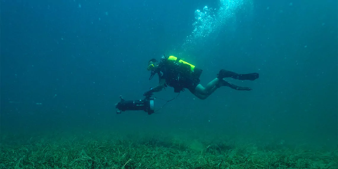 Marmara denizi'nde deniz çayırı dağılım alanlarının belirlenmesi (mar-çayir) projesi kapsamında, balıkesir'in bandırma ilçesinde 50 metrekarelik pilot alanda deniz çayırı ekimine başlandı.