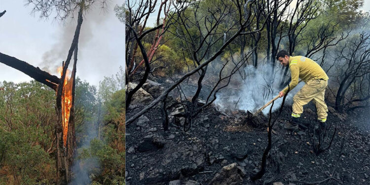 Muğla'ya 5 günde 50 yıldırım düştü