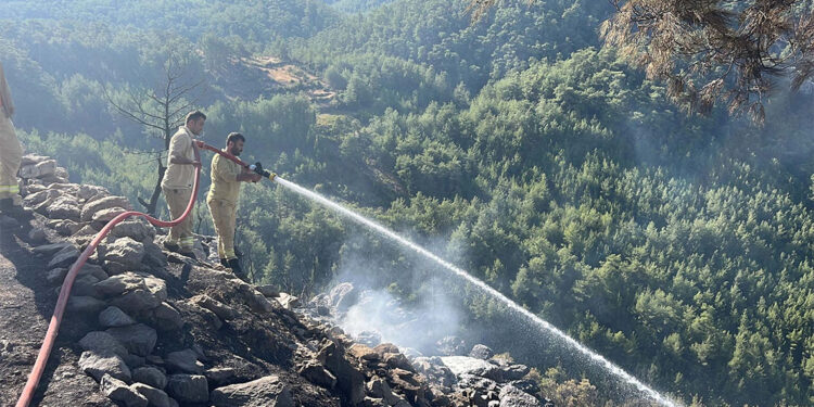 Muğla'daki orman yangını 2'nci gününde