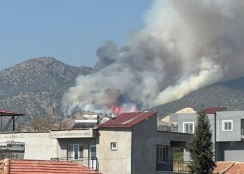Manisa'nın Alaşehir ilçesindeki orman yangını 2'nci gününde