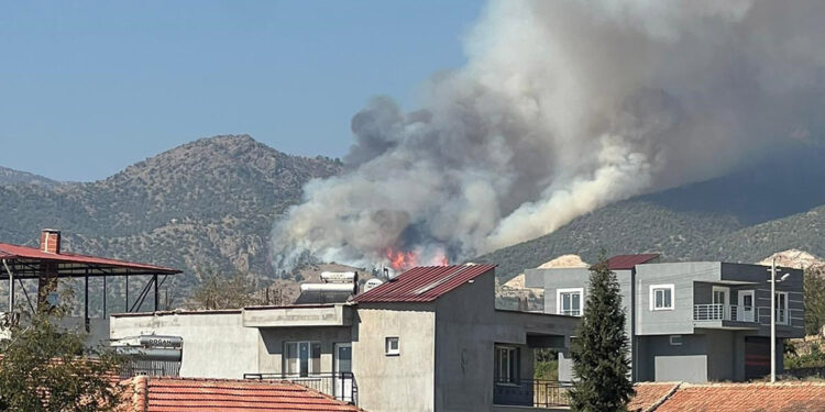 Manisa'nın Alaşehir ilçesindeki orman yangını 2'nci gününde