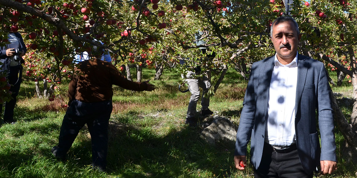 Misket elması üretiminin yüzde 70'inin yapıldığı Niğde'de hasat dönemi