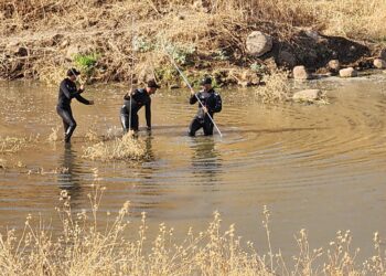 Narin'in annesi babası 2 ağabeyi ve 3 amcası gözaltında