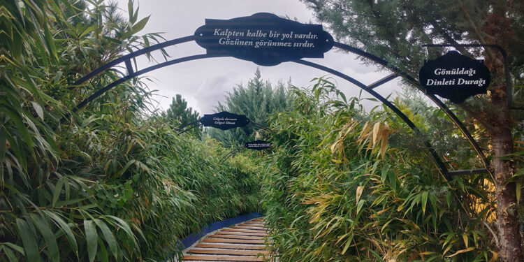 Neşet Ertaş'ın 12'nci ölüm yıl dönümünde, açık hava müzesi kuruldu