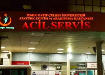 Evde hareketsiz halde bulunan anne kaldırıldığı hastanede öldü